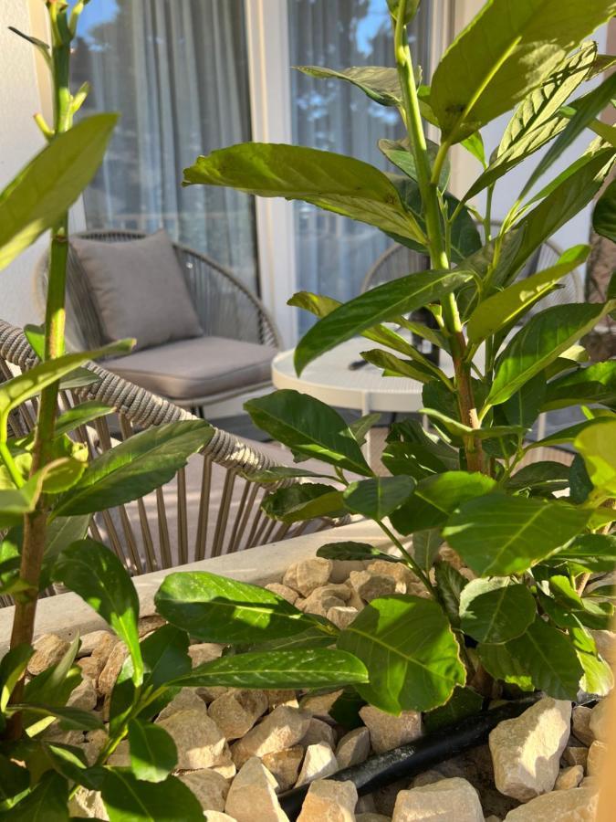 Sunset Huus Apartment Starigrad Paklenica Ngoại thất bức ảnh