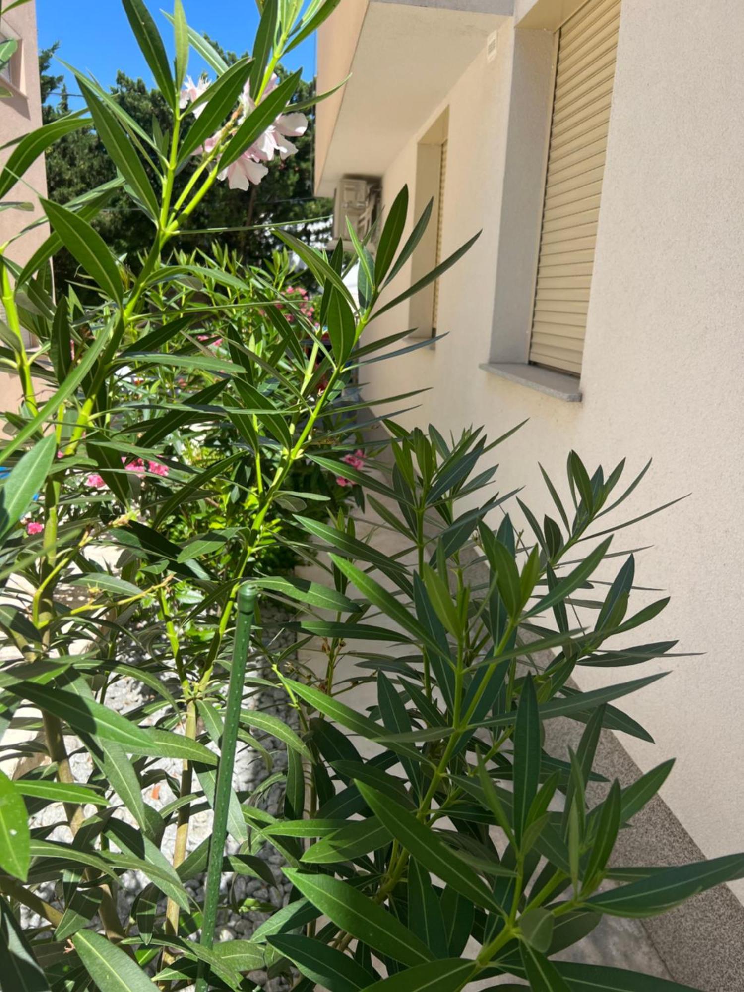 Sunset Huus Apartment Starigrad Paklenica Ngoại thất bức ảnh